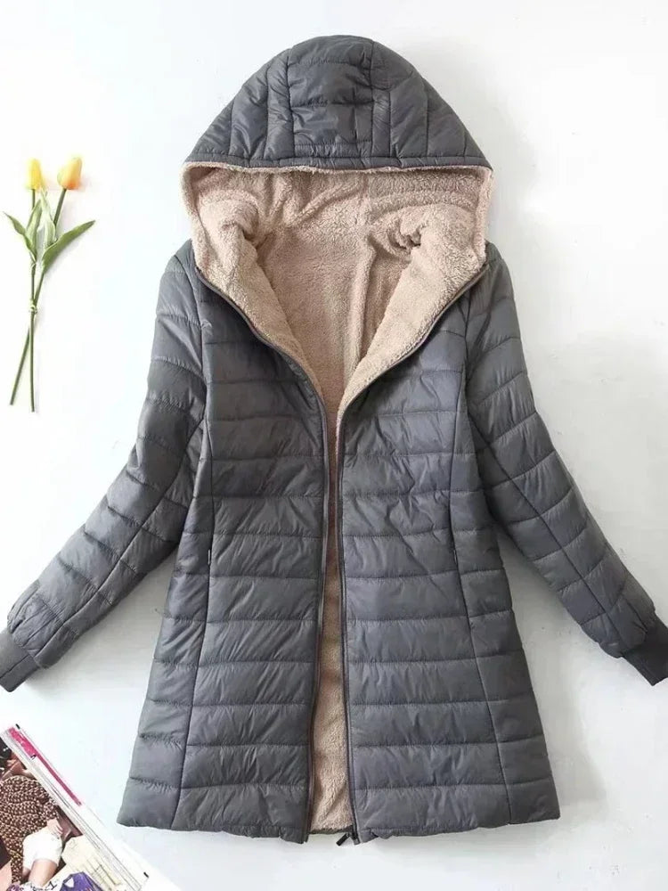Laurent | Korean Jacket