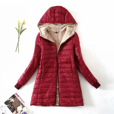 Laurent | Korean Jacket