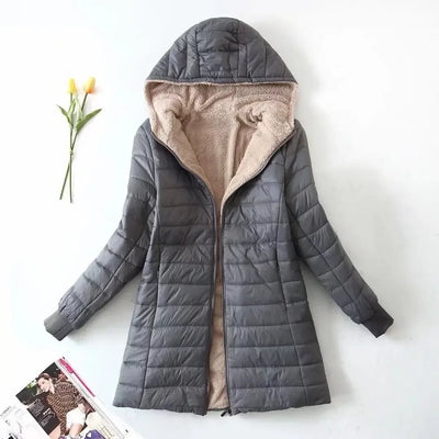 Laurent | Korean Jacket