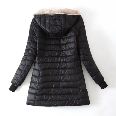 Laurent | Korean Jacket