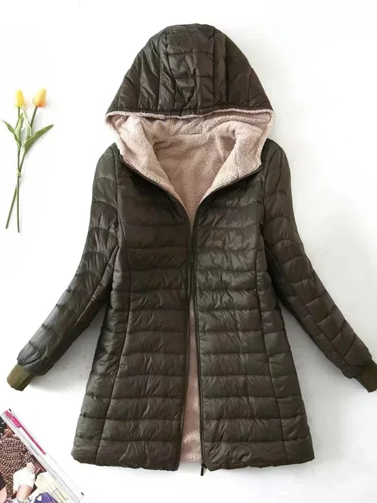 Laurent | Korean Jacket