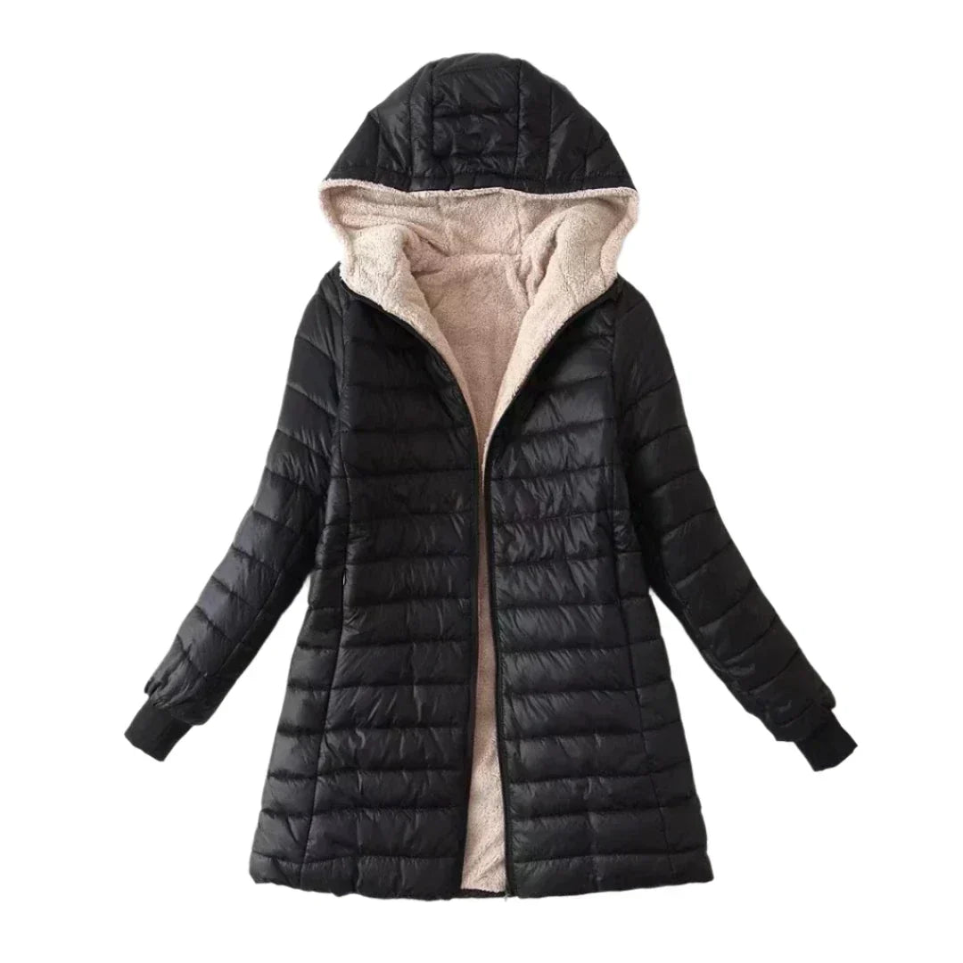 Laurent | Korean Jacket