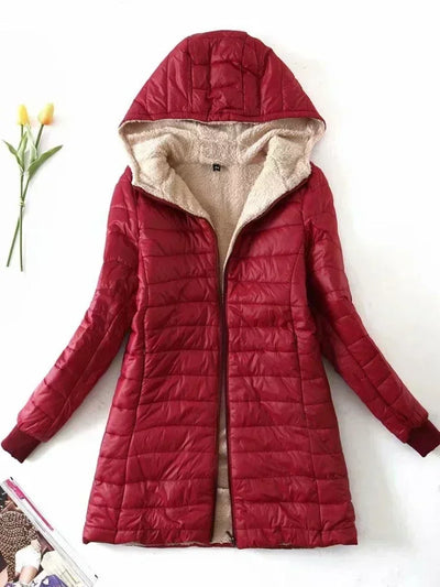 Laurent | Korean Jacket